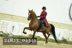 24R13_04541 thumbnail