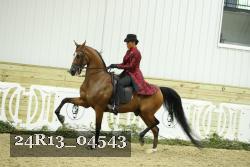24R13_04543 thumbnail