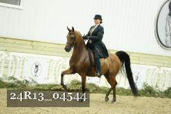 24R13_04544 thumbnail