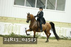 24R13_04545 thumbnail