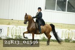 24R13_04546 thumbnail