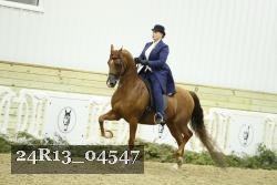 24R13_04547 thumbnail