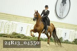 24R13_04550 thumbnail