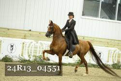 24R13_04551 thumbnail