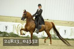 24R13_04552 thumbnail