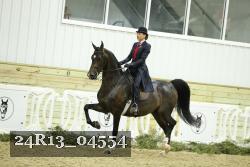 24R13_04554 thumbnail
