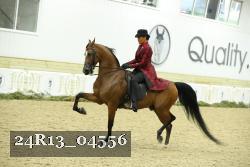 24R13_04556 thumbnail