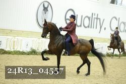 24R13_04557 thumbnail