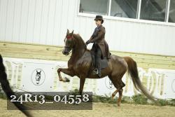 24R13_04558 thumbnail