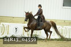 24R13_04559 thumbnail