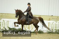 24R13_04560 thumbnail
