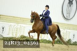 24R13_04561 thumbnail