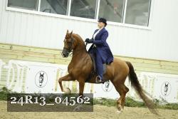 24R13_04562 thumbnail