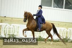 24R13_04563 thumbnail