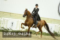 24R13_04564 thumbnail