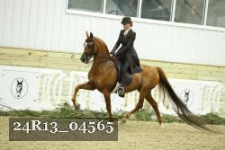 24R13_04565 thumbnail