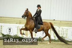 24R13_04566 thumbnail