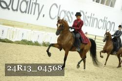 24R13_04568 thumbnail