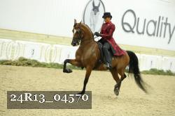 24R13_04570 thumbnail
