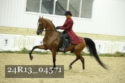 24R13_04571 thumbnail