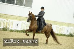 24R13_04572 thumbnail