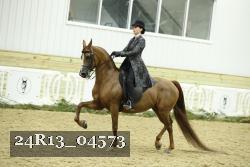 24R13_04573 thumbnail