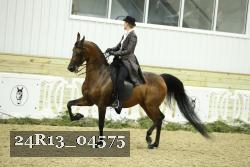 24R13_04575 thumbnail