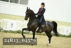 24R13_04576 thumbnail