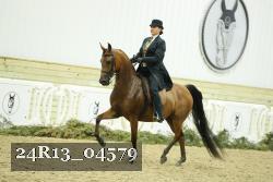 24R13_04579 thumbnail