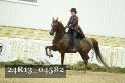 24R13_04582 thumbnail