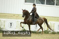 24R13_04583 thumbnail