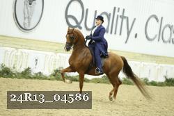 24R13_04586 thumbnail
