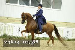 24R13_04588 thumbnail
