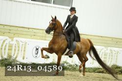 24R13_04589 thumbnail