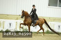 24R13_04590 thumbnail