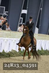 24R13_04591 thumbnail
