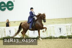 24R13_04597 thumbnail
