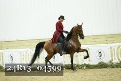 24R13_04599 thumbnail