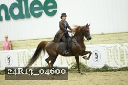 24R13_04600 thumbnail