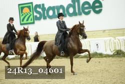 24R13_04601 thumbnail
