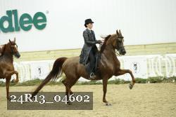 24R13_04602 thumbnail