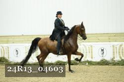 24R13_04603 thumbnail