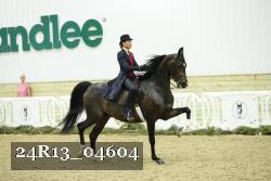 24R13_04604 thumbnail
