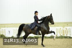 24R13_04605 thumbnail