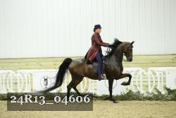 24R13_04606 thumbnail
