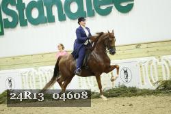 24R13_04608 thumbnail