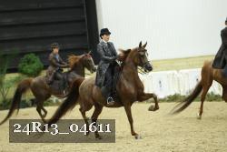 24R13_04611 thumbnail