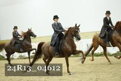 24R13_04612 thumbnail