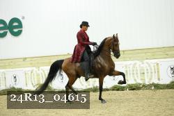 24R13_04615 thumbnail