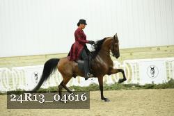 24R13_04616 thumbnail